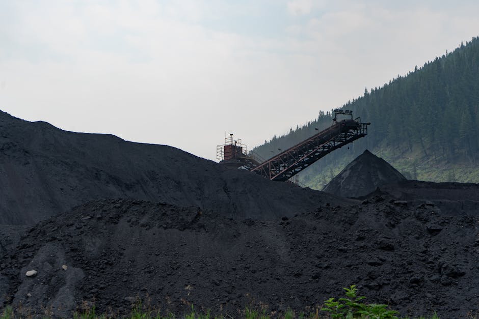 Aliens may be rare because coal is rare. Scientists say fossil fuels may be vital for technological civilisations to emerge