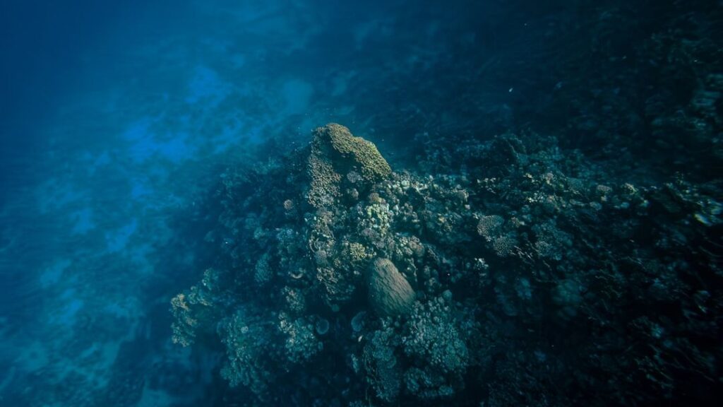 The Deepest Oceans Hold Secrets of Life from Earth's Earliest Days