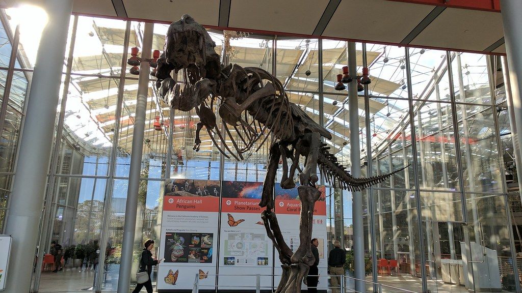 10 Mind-Blowing Dinosaur Discoveries Reshaping Paleontology in the US