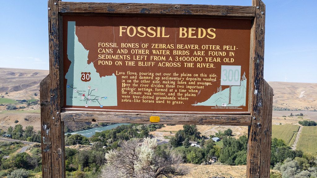 7 Stunning Fossil Beds in the US Revealing Untold Chapters of Earth's Past