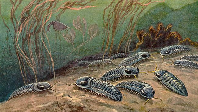 10 Incredible Adaptations That Helped Prehistoric Life Survive Cataclysmic Events