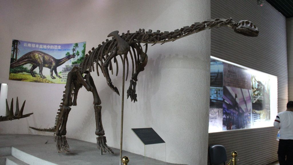 9 Evolutionary Dead Ends: Creatures That Didn't Make It Through Prehistoric Eras