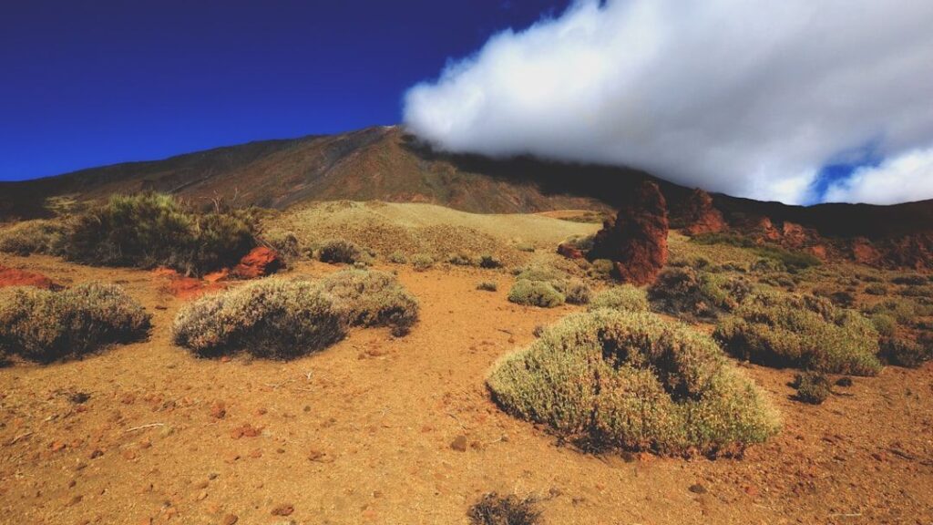 Many Geological Formations Across the US Reveal a Dramatic Timeline of Earth's Past