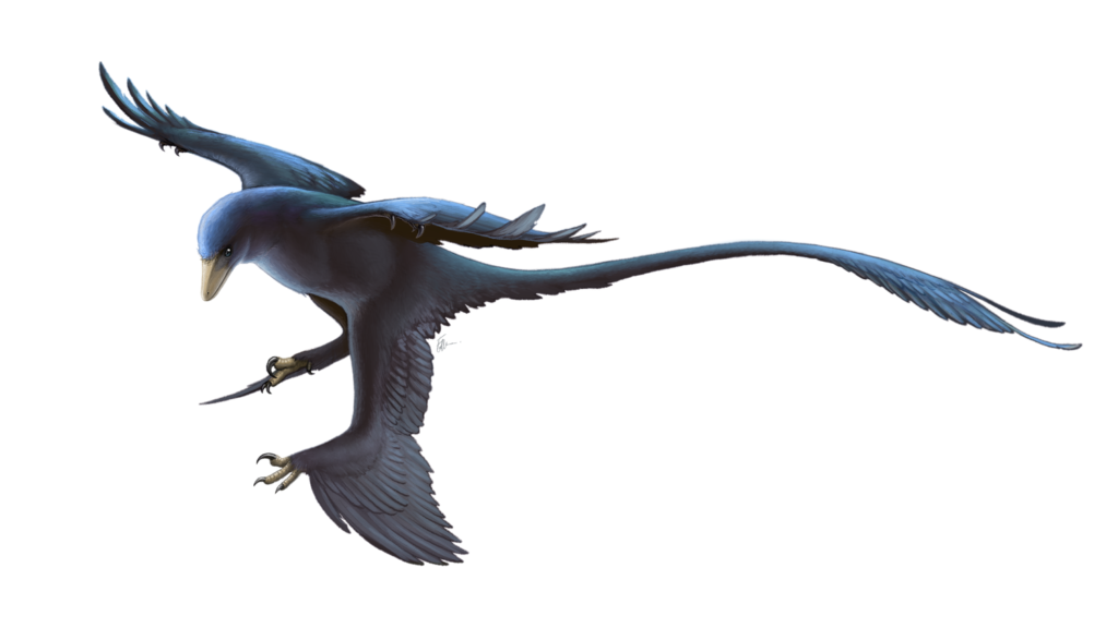 New Fossil Evidence Proves Some Dinosaurs Were Covered in Vibrant, Iridescent Feathers