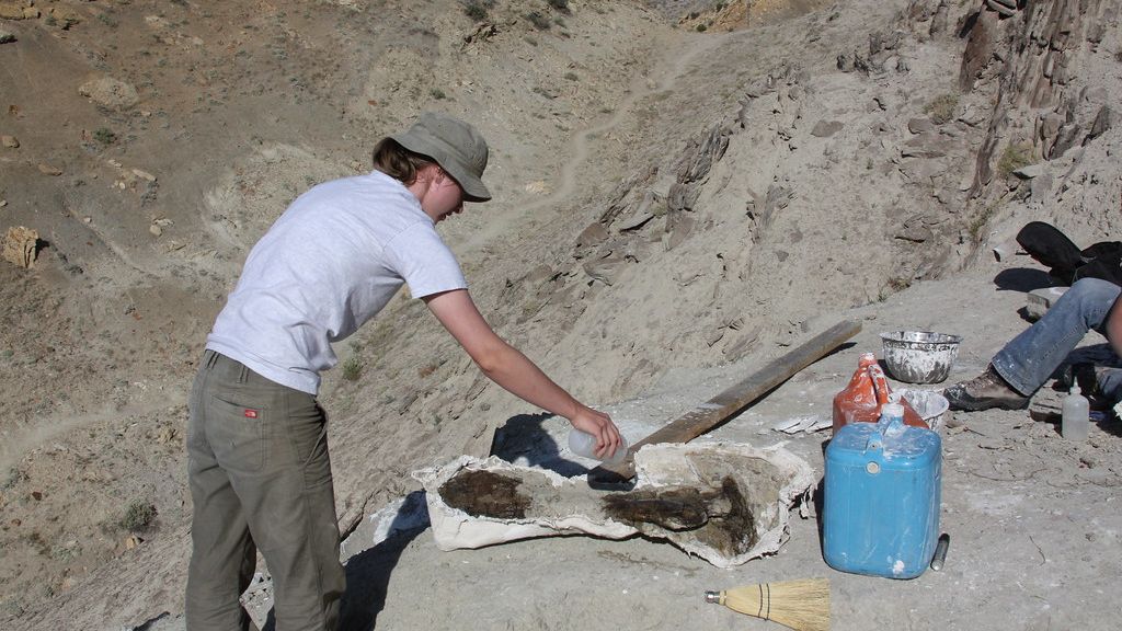 Paleontology Is a Field Constantly Rewriting the Narrative of Earth's Ancient Inhabitants