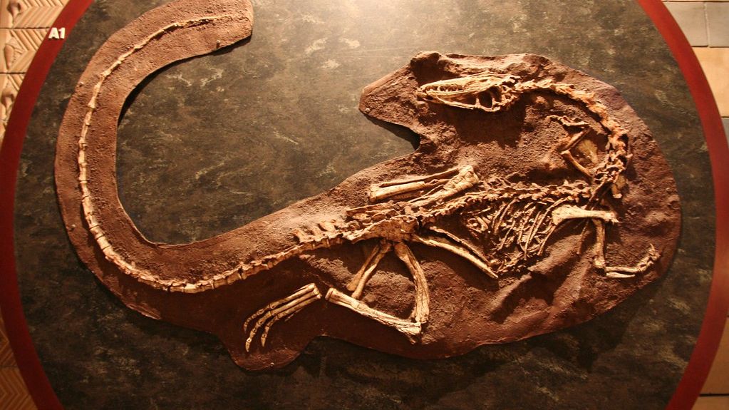 Some Ancient Cultures Accurately Depicted Dinosaurs Centuries Before Modern Science