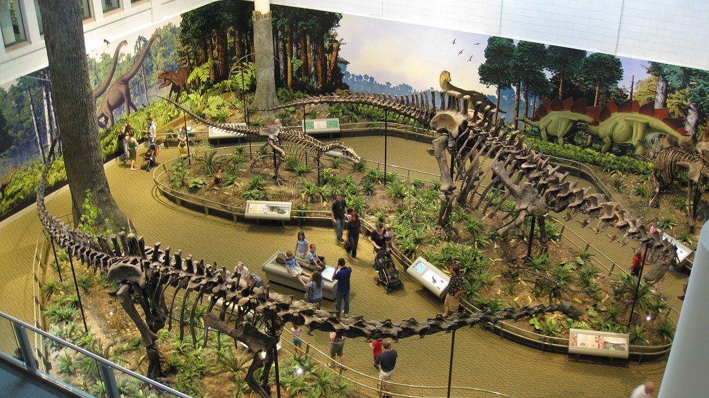 8 Revolutionary Theories Changing How We See Dinosaur Behavior