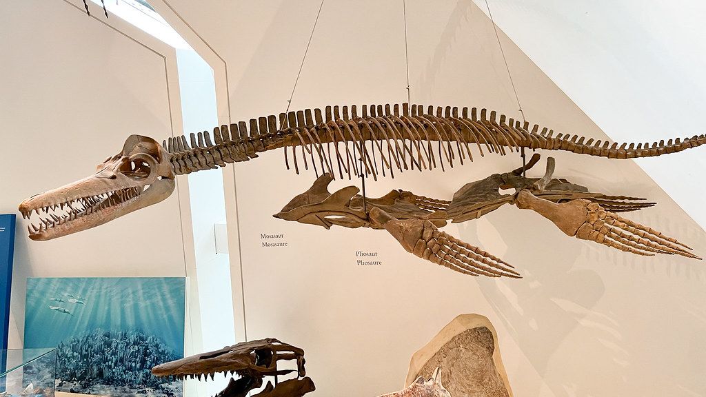 Prehistoric Marine Reptiles Were the True Rulers of Ancient Oceans