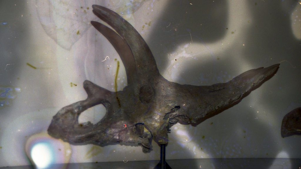 Ancient Landscapes in the Pacific Northwest Were Once Dinosaur Paradises