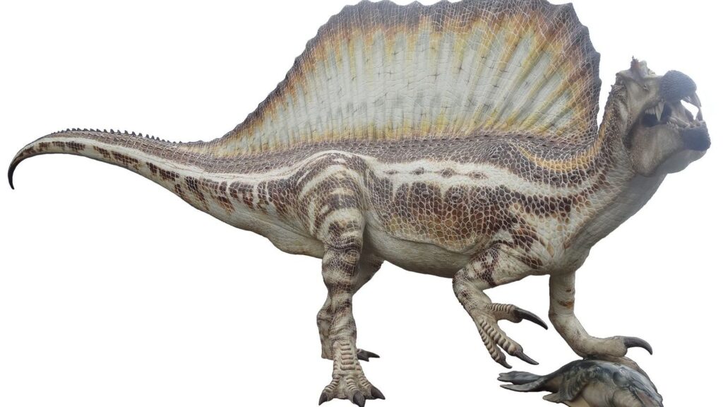 5 Astrological Signs That Command Respect Just Like a Spinosaurus