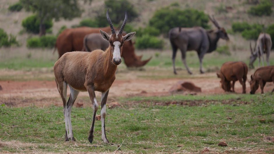 10 Fascinating Facts About the Evolution of Mammals After the Dinosaurs Died Out