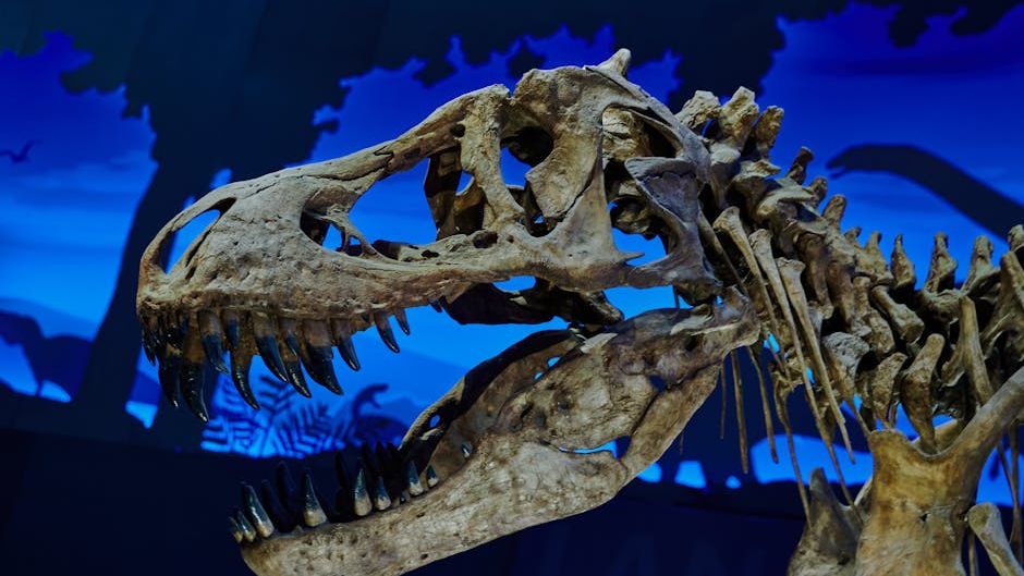 Fossil Discoveries Reveal How Dinosaurs Adapted to Extreme Ancient Climates
