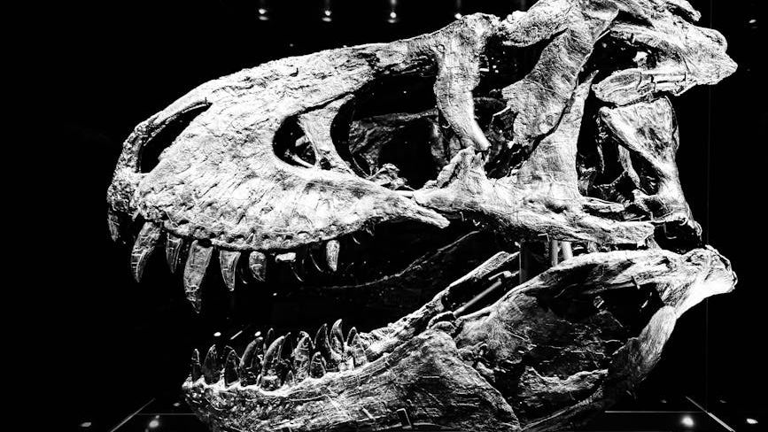 The Fossil Record Reveals Unexpected Bonds Between Ancient Apex Predators