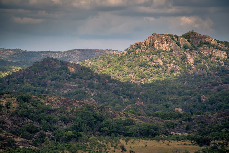 The little-known story of emerging ecotourism in the Central African Republic