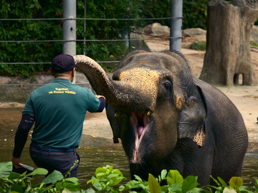 The ‘unfair’ job of being a conservationist in a world working against nature