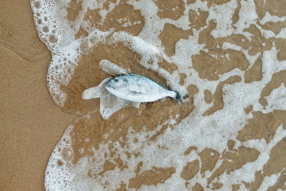 Microplastics found in fish in Tuvalu, a remote South Pacific nation