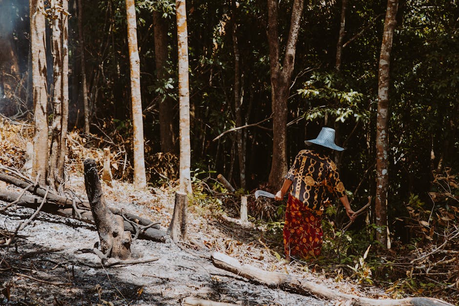 Indigenous & community leaders say, ‘secure forest financing with us, not for us’ (commentary)