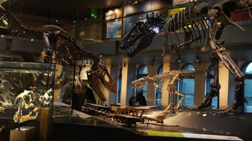 The Unseen Lives: How Paleontology Reveals Dinosaur Family Dynamics