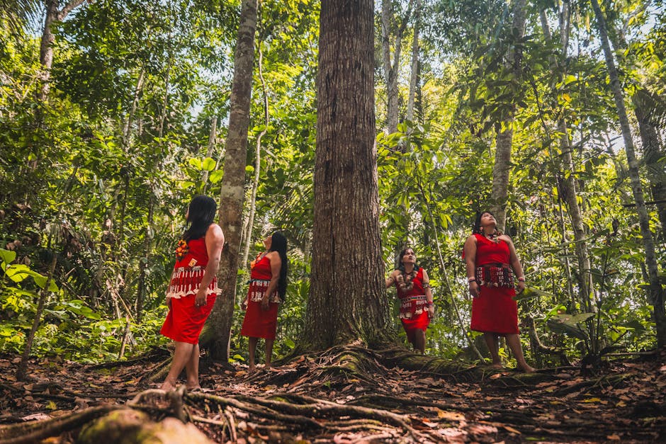 Indigenous governance key to protecting Amazon Basin connectivity, experts say