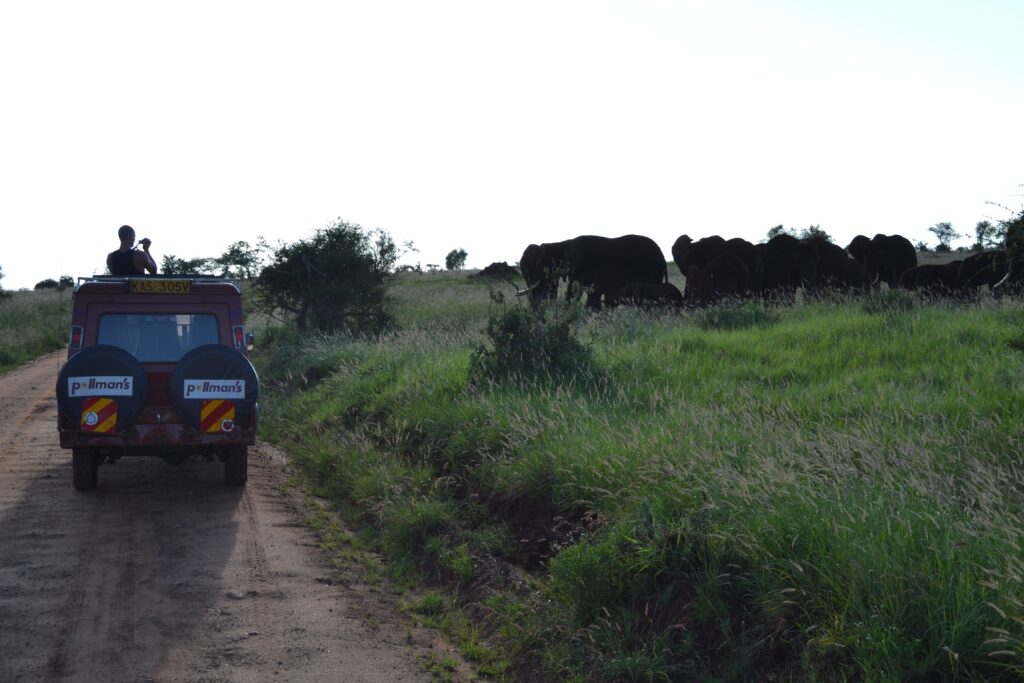 Wildlife concerns remain after Kenya court ruling over luxury safari camp