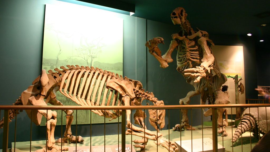 Giant Sloths and Ancient Humans: Unraveling Evidence of Forgotten Encounters