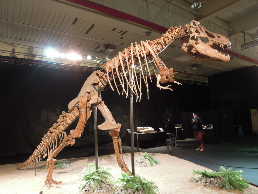 France Returns Stolen Dinosaur Skeleton to Mongolia