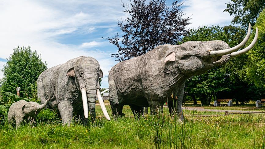 10 Incredible Facts About the Largest Land Mammals After the Dinosaurs