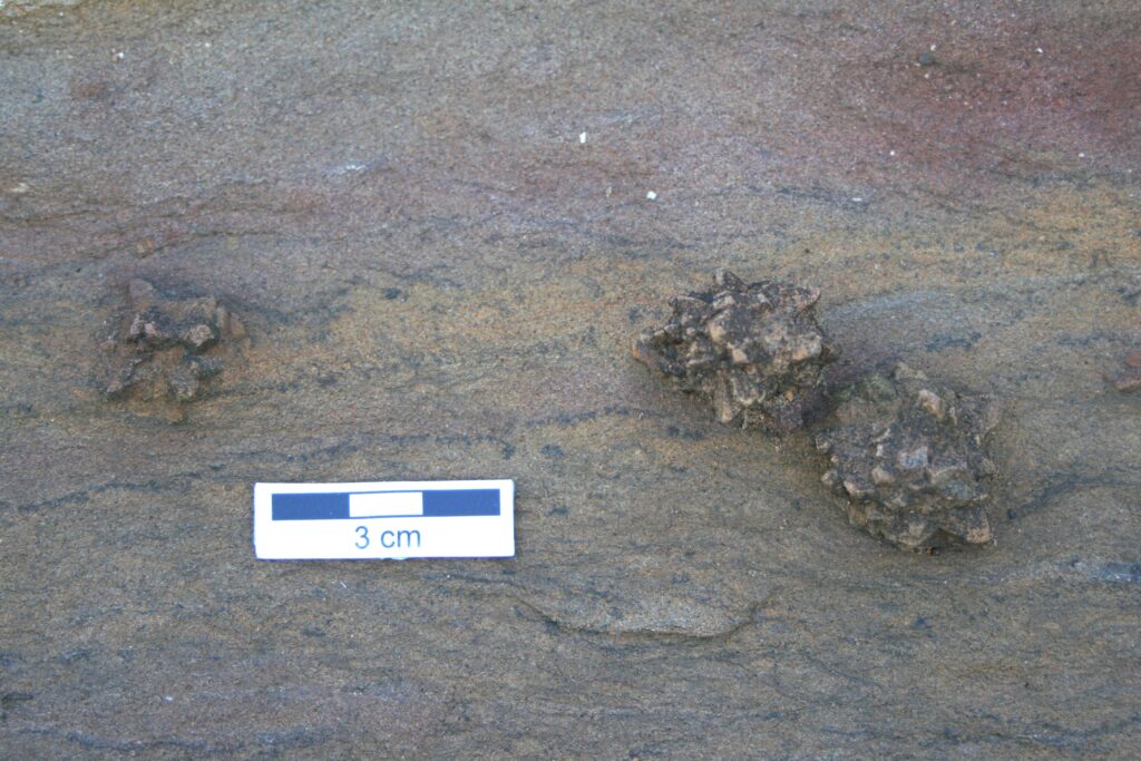 Wide but not ubiquitous distribution of glendonite in the Doushantuo Formation, South China: Implications for Ediacaran climate