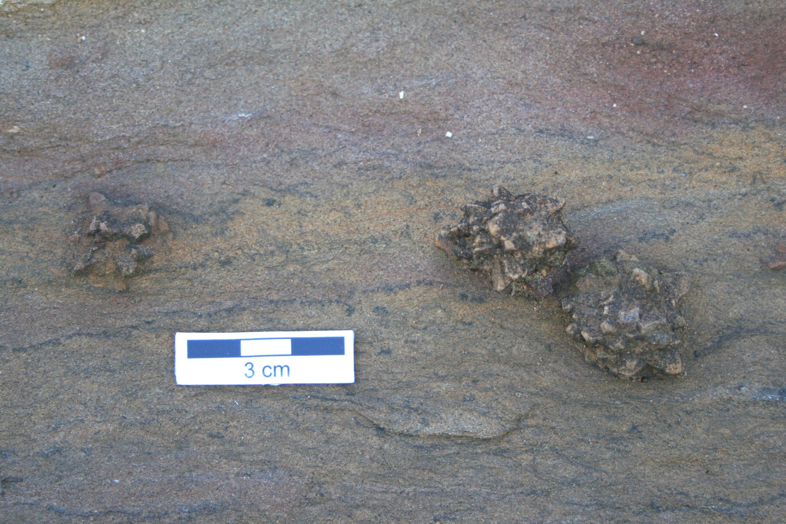 Wide but not ubiquitous distribution of glendonite in the Doushantuo Formation, South China: Implications for Ediacaran climate