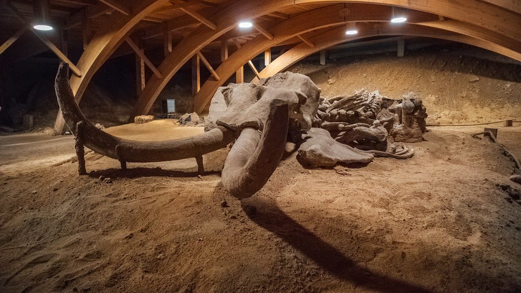 The Fossil Record Reveals a Hidden Chapter in North American Ancient Tribes