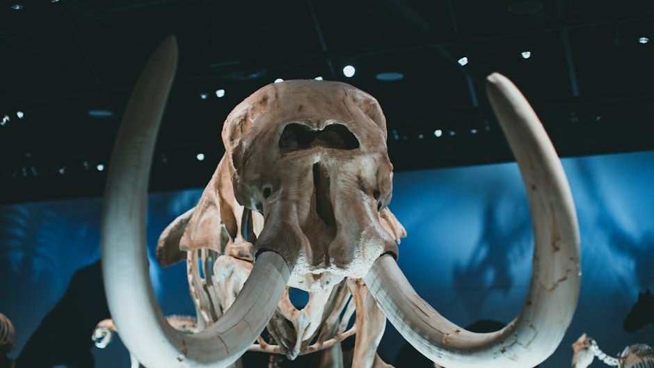 5 Zodiac Signs That Inherit the Resilience and Adaptability of Early Mammals