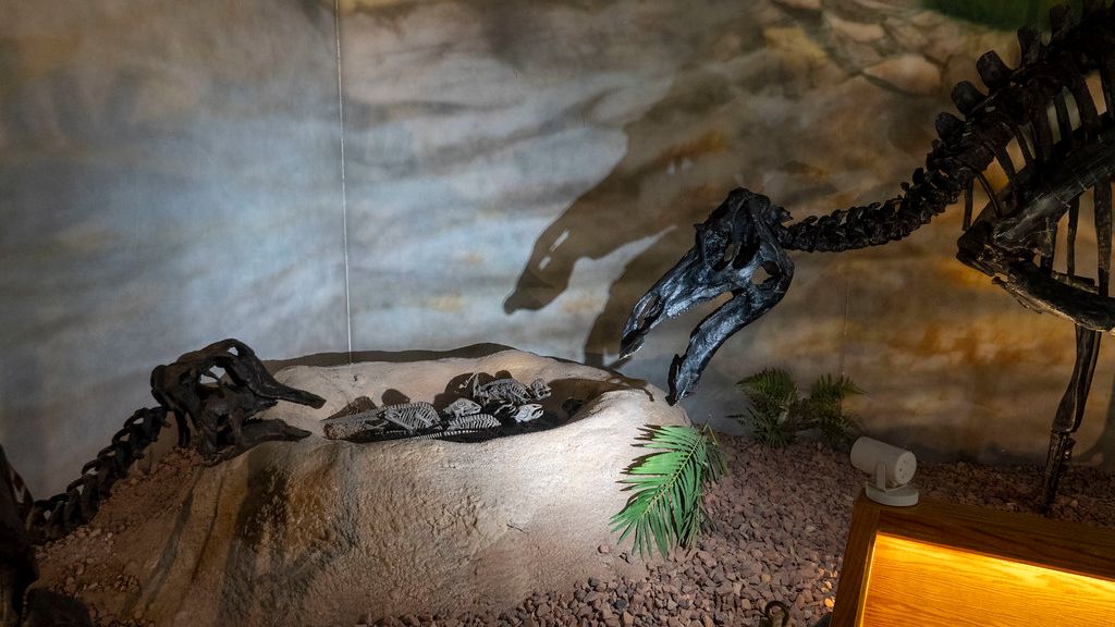 10 Incredible Fossils That Reimagined Dinosaur Parent-Child Relationships