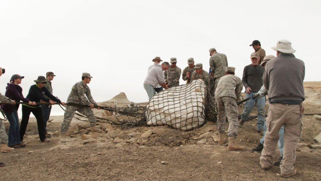 The Secrets Buried Deep: New Discoveries in Prehistoric Wildlife of the American West