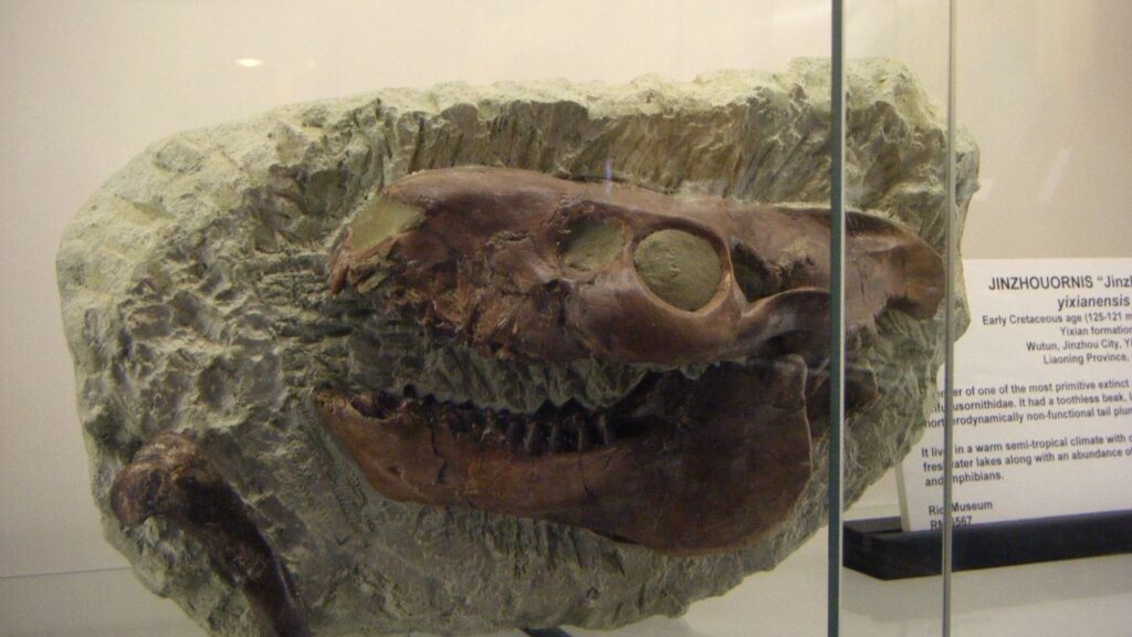 8 Astounding Discoveries That Define the Evolution of Ancient Land Mammals