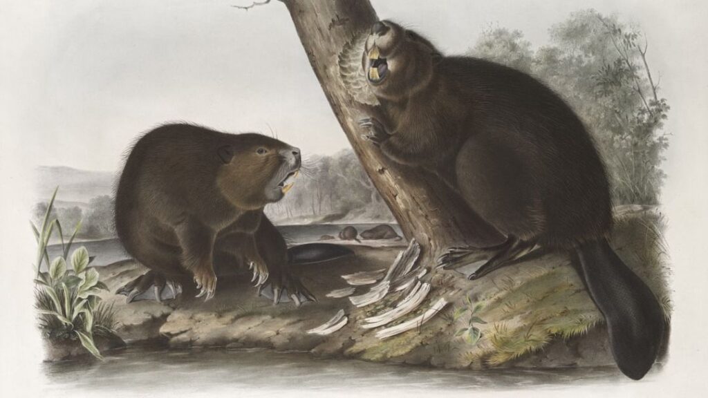 5 Ancient Tribes Whose Legends Echo Tales of North America's Megafauna