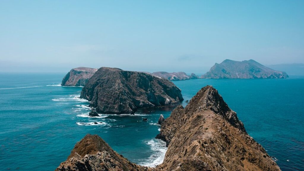 These Ancient North American Sites Hold Untapped Secrets of Early Land Life