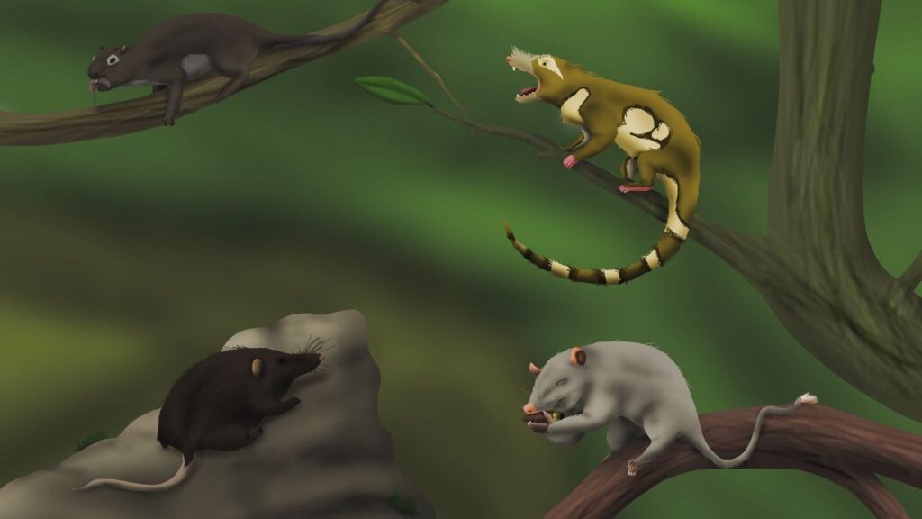 Which 3 Zodiac Signs Are as Resilient and Adaptable as the First Mammals?