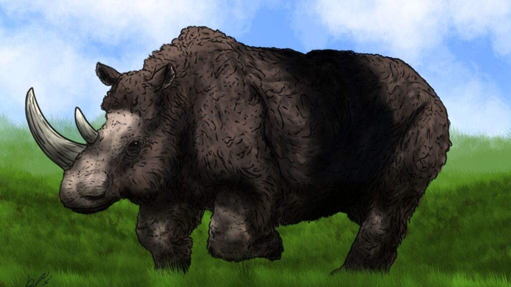 These 6 Zodiac Signs Possess the Unyielding Determination of a Woolly Rhino