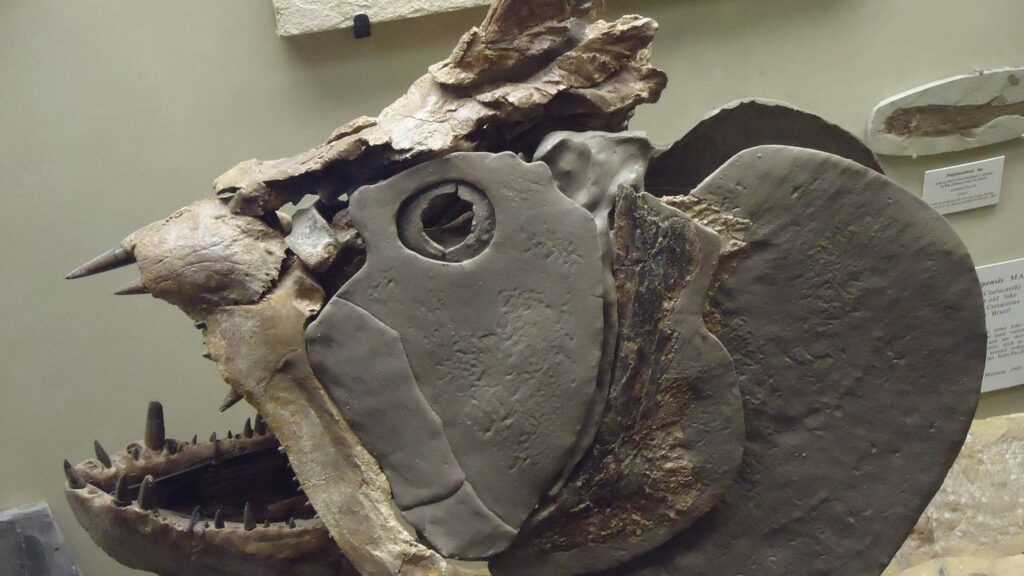 These 4 Zodiac Signs Embody the Ancient Spirit of a Saber-Toothed Salmon