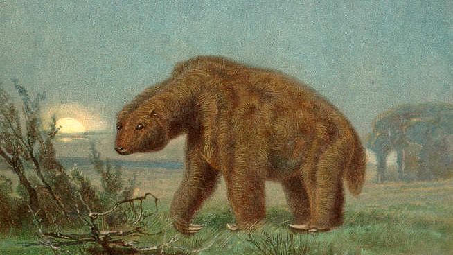 The True Scale of Prehistoric Megafauna Will Stun You