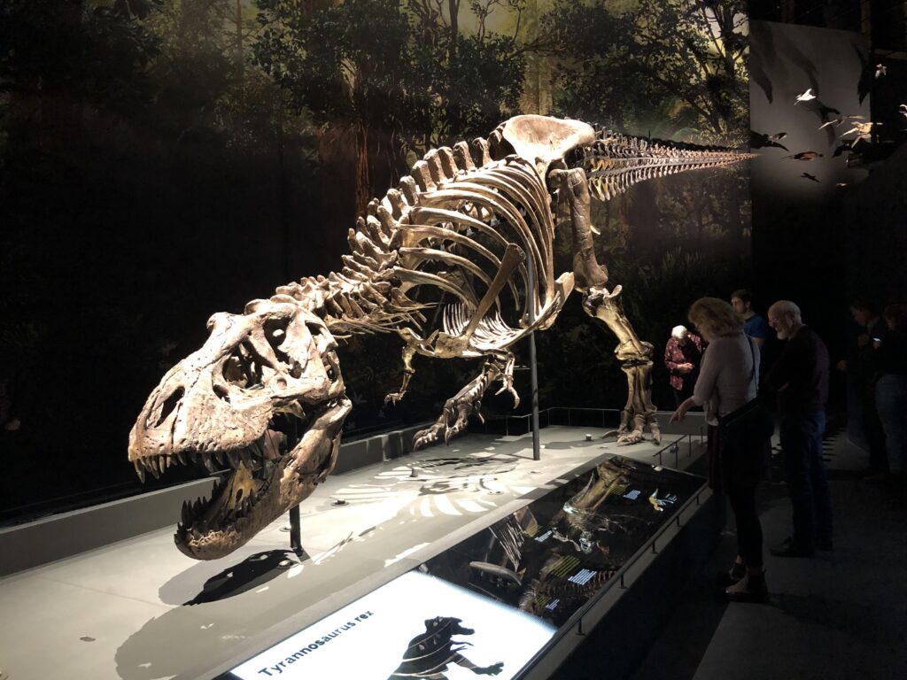 Dinosaur skeletons are selling for millions. What does that mean for researchers and museums?