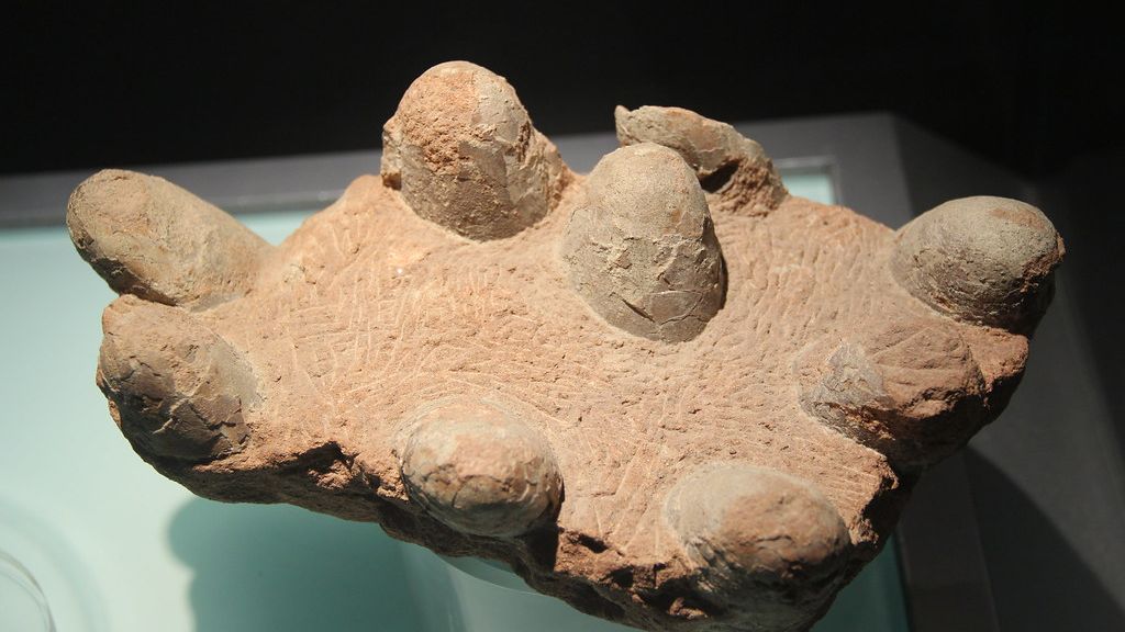 The 9 Most Mysterious Dinosaur Eggs Ever Discovered and What They Tell Us