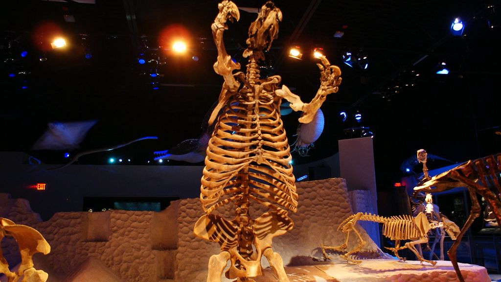 Which 4 Zodiac Signs Are as Majestic and Solitary as a Giant Ground Sloth?