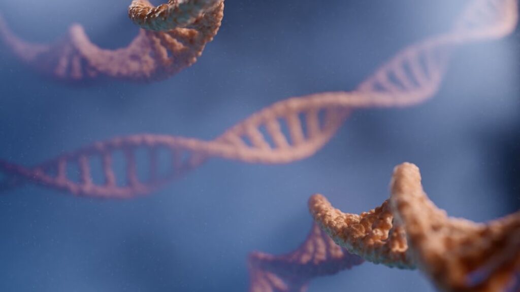 Ancient DNA Reveals Surprising Truths About Early Human Migration