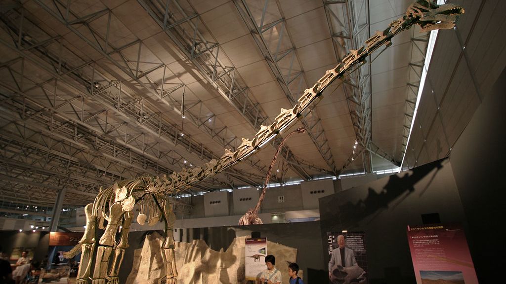 Discoveries in Patagonia are Rewriting the History of Giant Herbivores