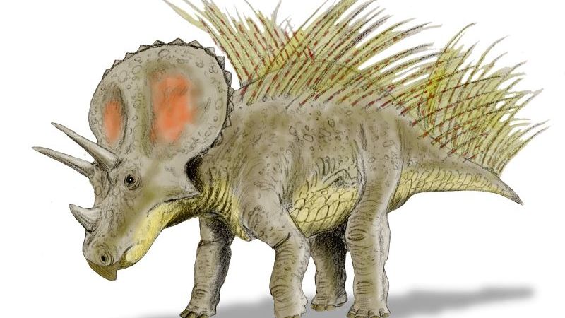 Which 6 Zodiac Signs Are as Fiercely Protective as a Triceratops?