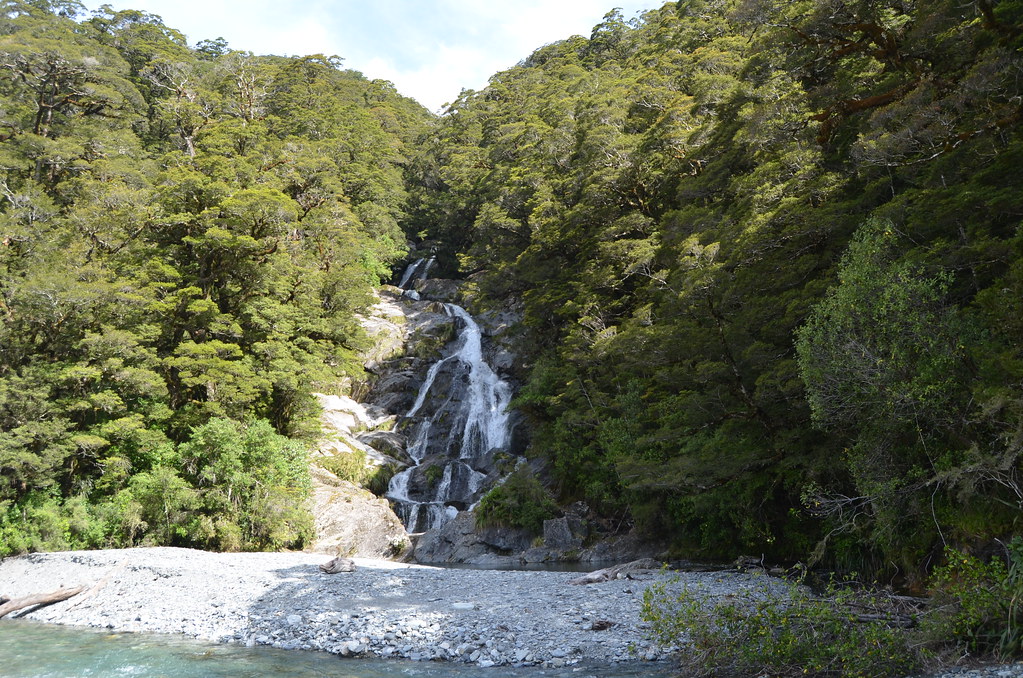 Māori knowledge shows climate change domino effects on forest food chains
