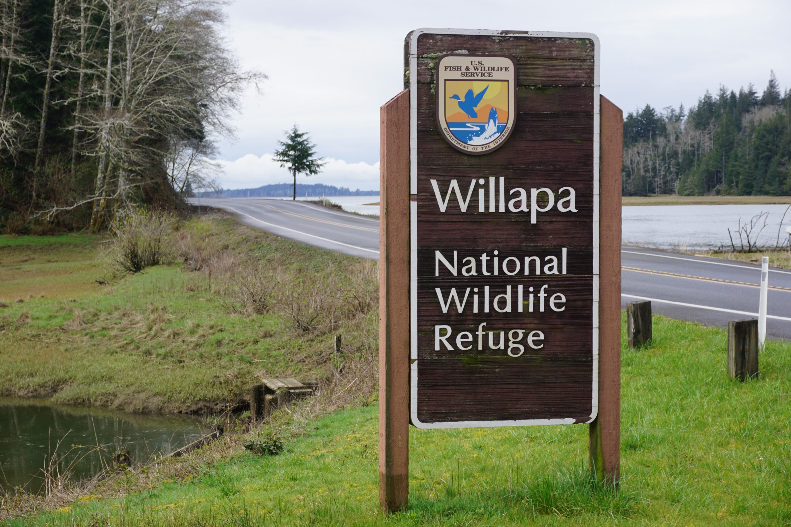 Postcard from the Pacific Flyway: Willapa National Wildlife Refuge