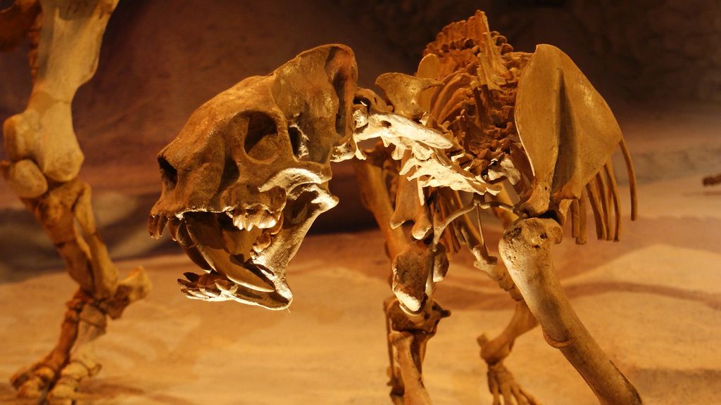 10 Remarkable Examples of Convergent Evolution in Prehistoric Life