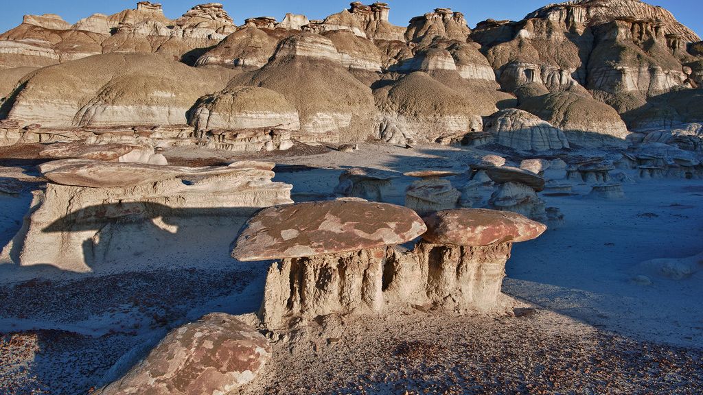 5 Astounding Fossil Sites That Reveal North America's Deepest Past